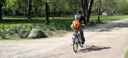 Fahrradfahrer fährt durch Park